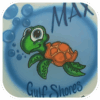 Image of Cartoon Turtle with bubbles & blue background with the name Max & the city Gulf Shores written in Blue.